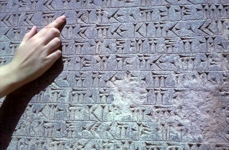 انسان