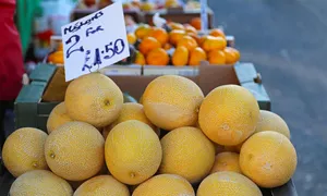 راه تشخیص خربزه شیرین را یاد بگیرید تا انتخاب بهتری داشته باشید