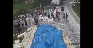 چین / واژگونی محموله برنج در جاده؛ بیش از ۳۰۰ کیسه روی زمین ریخت
