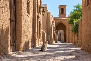«وقف زمین برای گربه ها» / حکایت یک موقوفه شگفت‌ انگیز از دوران قاجار